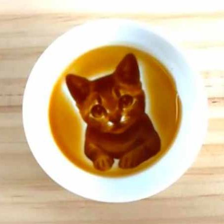 小猫酱油碟效果 拷贝.jpg