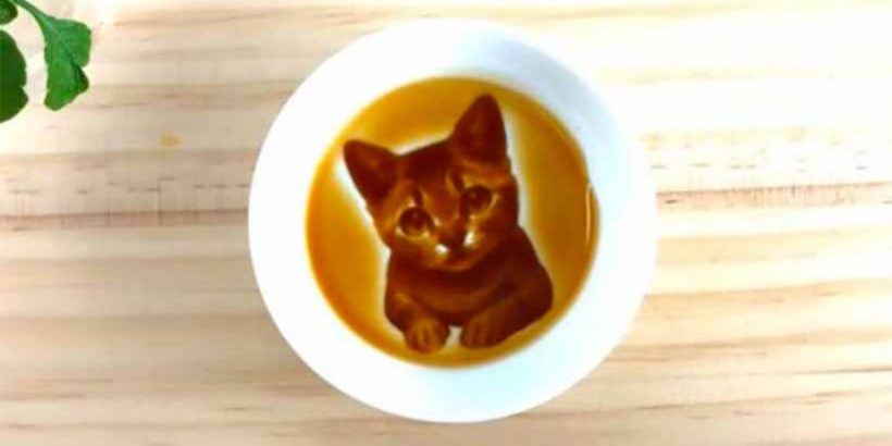 小猫酱油碟效果 拷贝.jpg