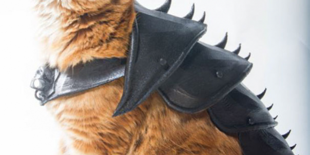 1-png 猫咪1.png